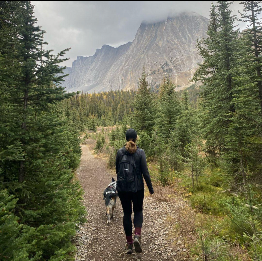 Walk & Outdoor - The PetTrail