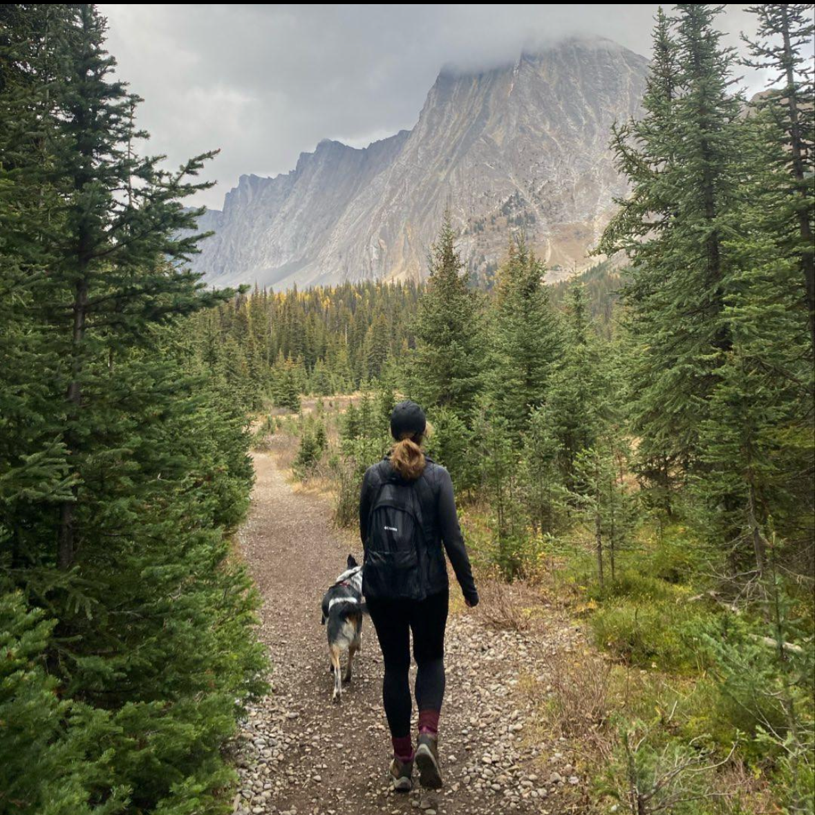 Walk & Outdoor - The PetTrail
