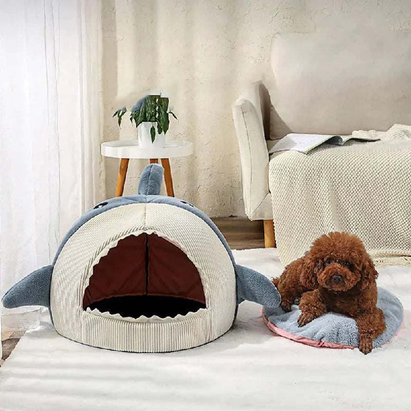 Comfort & Home - The PetTrail