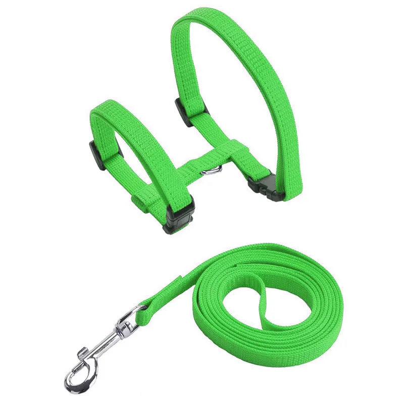 Adjustable Cat Harness & Leash Set - The PetTrail