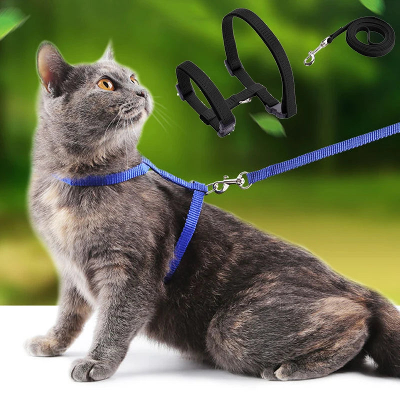 Adjustable Cat Harness & Leash Set - The PetTrail