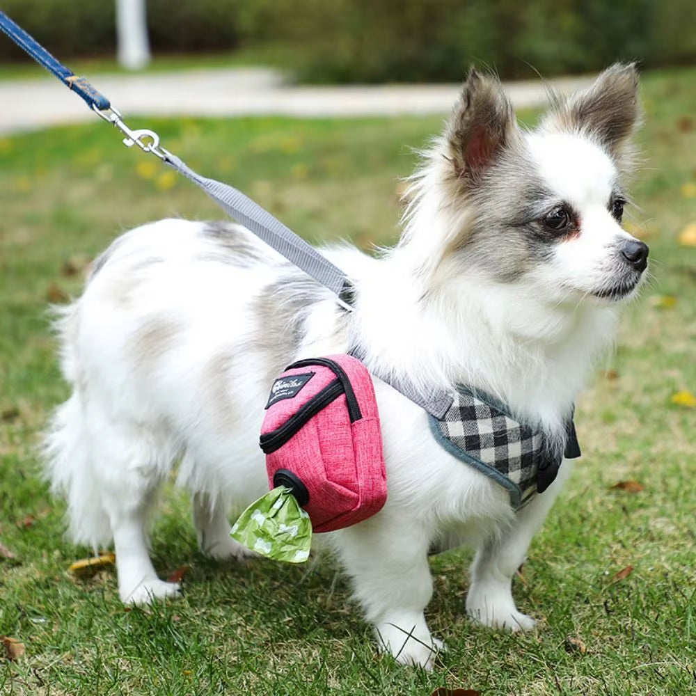 Portable Dog Treat Training Pouch – Waist Bag & Poop Bag Holder - The PetTrail