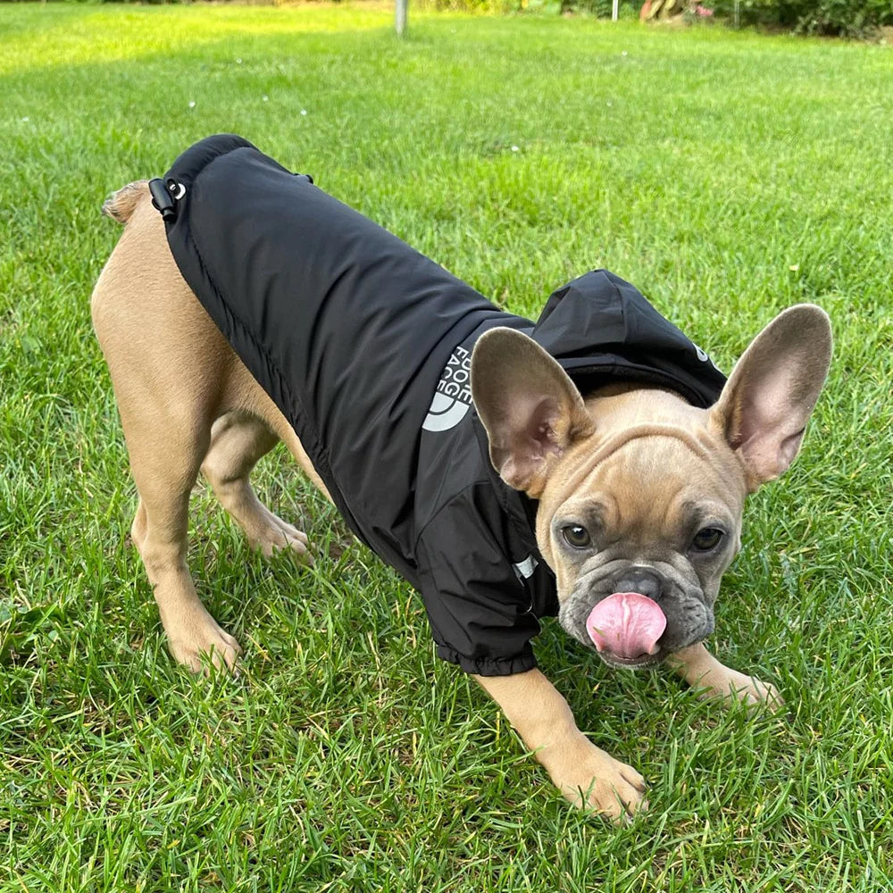 Warm Waterproof Dog Jacket - The PetTrail