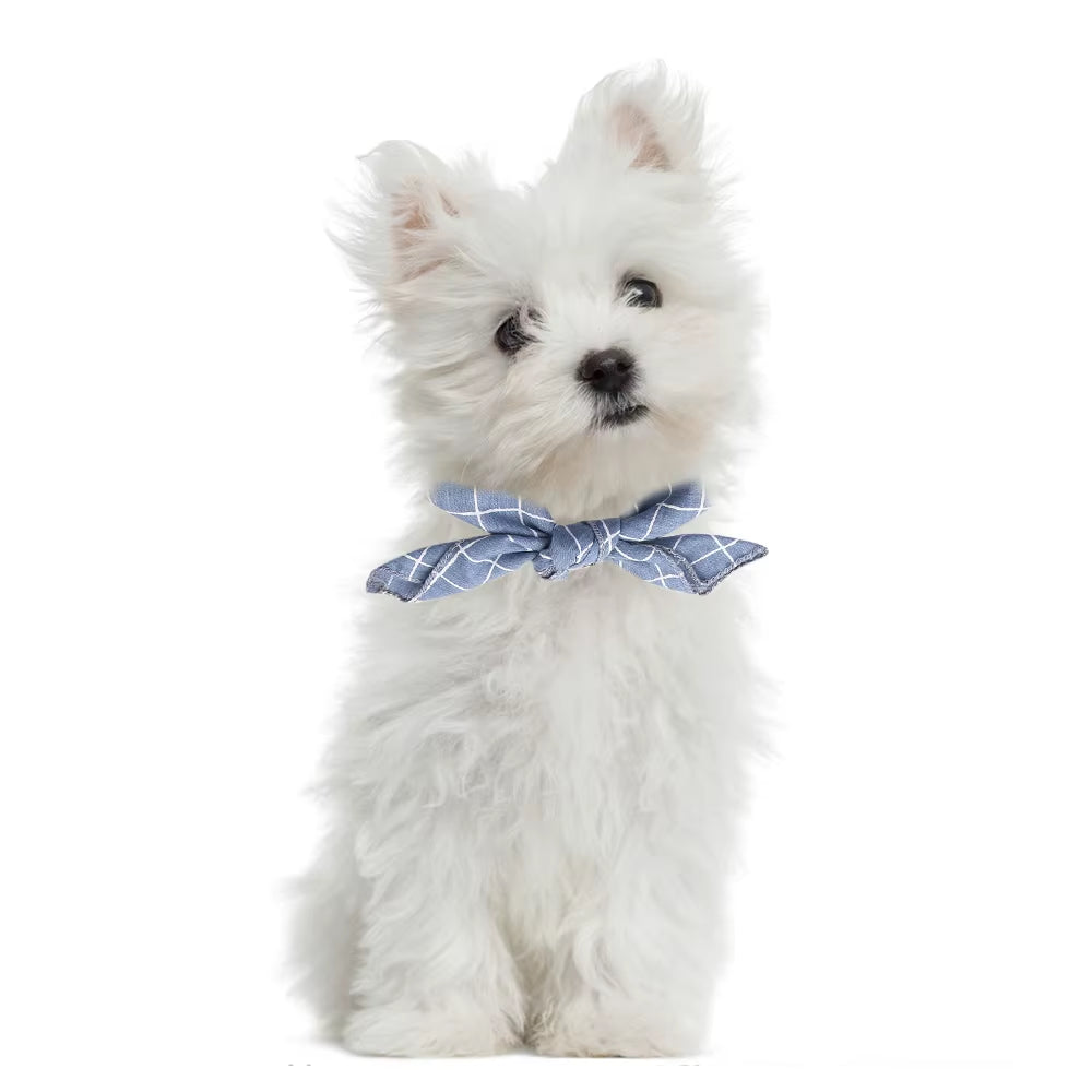 Washable Pet Bandana - The PetTrail