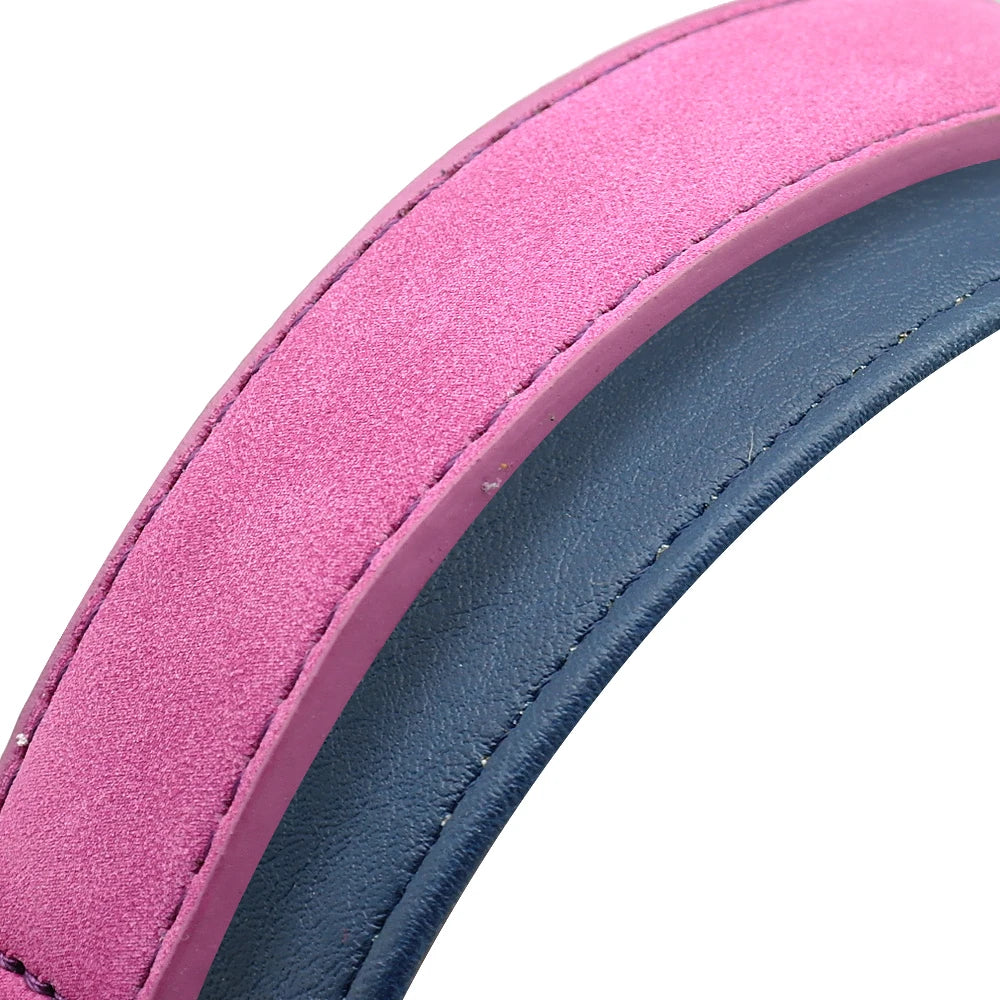Leather Dog Collar - Soft Padded Adjustable Collar - The PetTrail