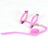Adjustable Cat Harness & Leash Set - The PetTrail
