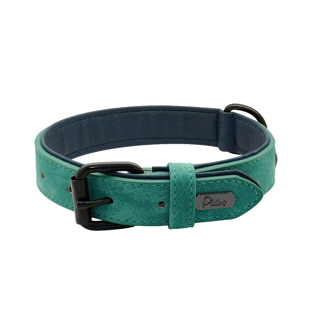 Leather Dog Collar - Soft Padded Adjustable Collar - The PetTrail