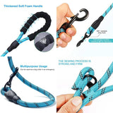 Reflective Nylon Dog Leash - The PetTrail