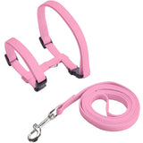 Adjustable Cat Harness & Leash Set - The PetTrail