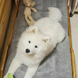 The Cloudbed XL – Extra Large Dog Bed - The PetTrail