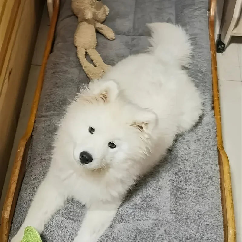 The Cloudbed XL – Extra Large Dog Bed - The PetTrail