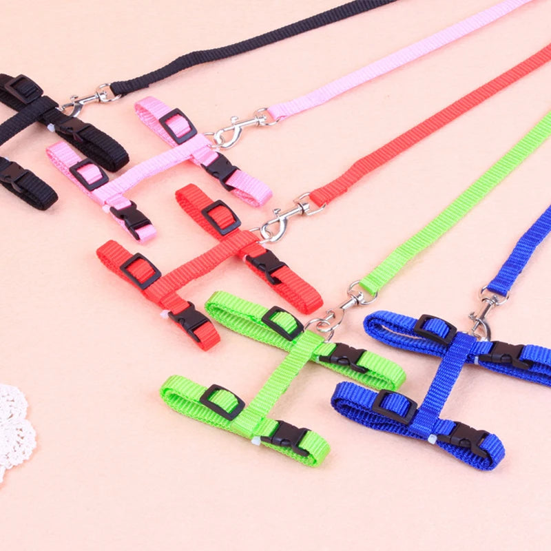 Adjustable Cat Harness & Leash Set - The PetTrail
