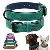 Leather Dog Collar - Soft Padded Adjustable Collar - The PetTrail