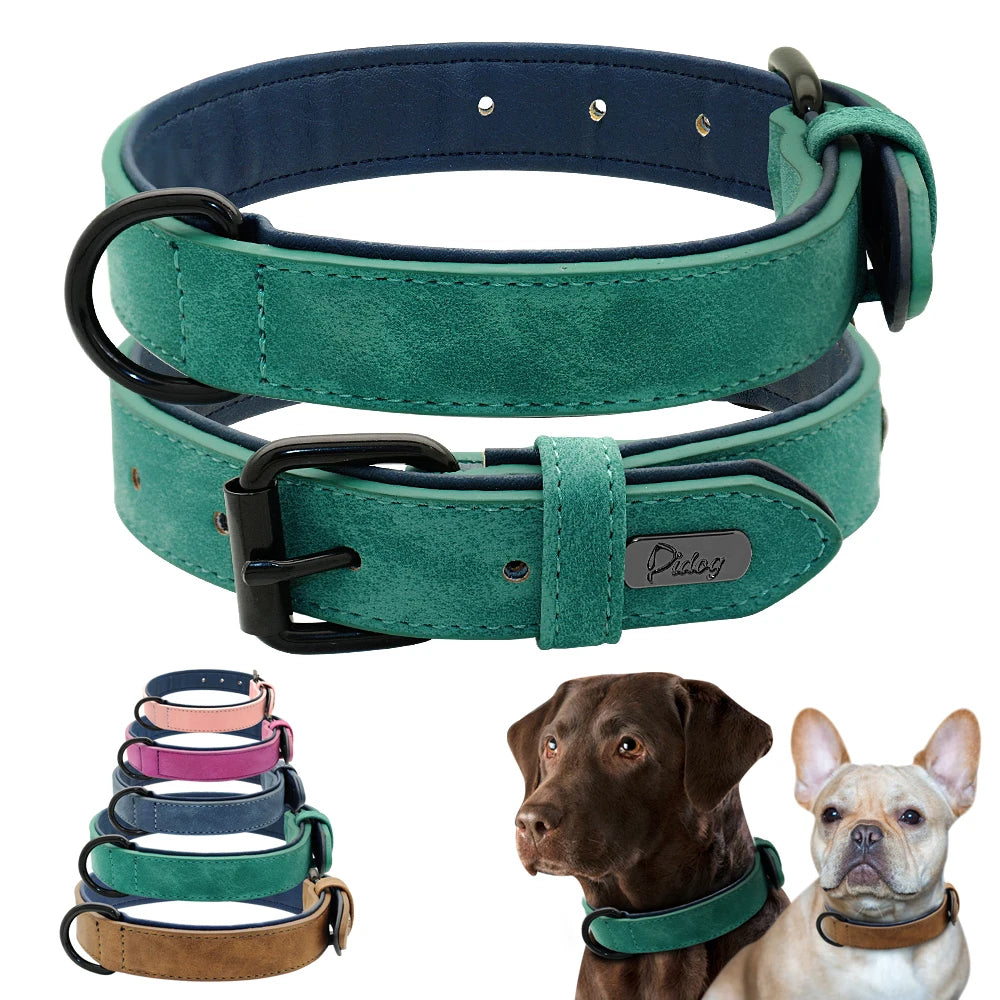 Leather Dog Collar - Soft Padded Adjustable Collar - The PetTrail