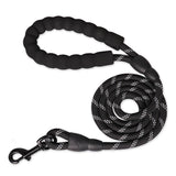 Reflective Nylon Dog Leash - The PetTrail