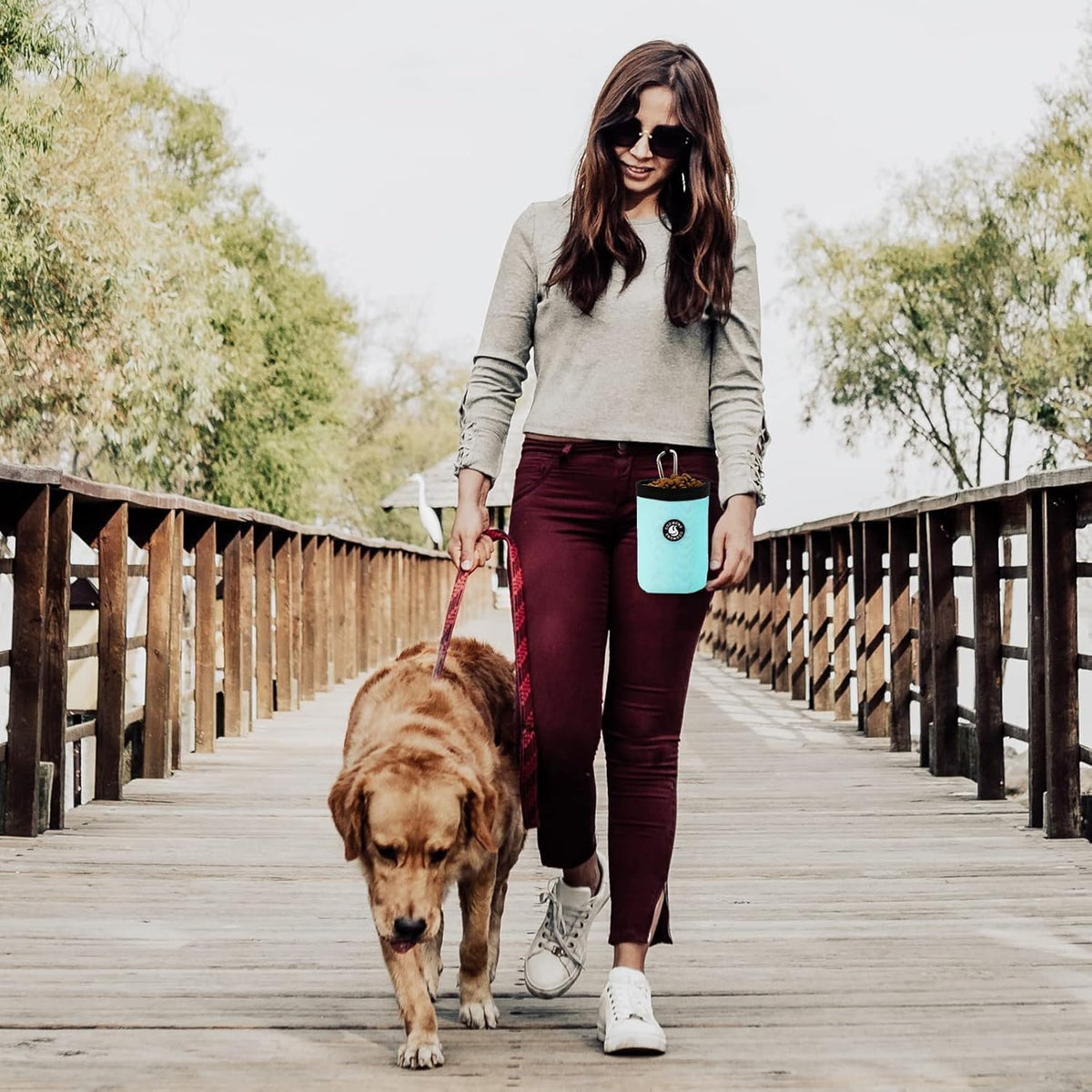 Premium Dog Training Treat Pouch Bag - The PetTrail