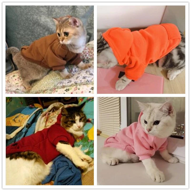 Warm Cat & Dog Winter Hoodie - The PetTrail