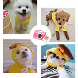 Fruit Print Fleece Dog Hoodie – Warm Winter Pet Sweater - The PetTrail