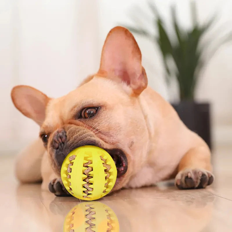 Rubber Dental Chew Ball for Dogs - The PetTrail
