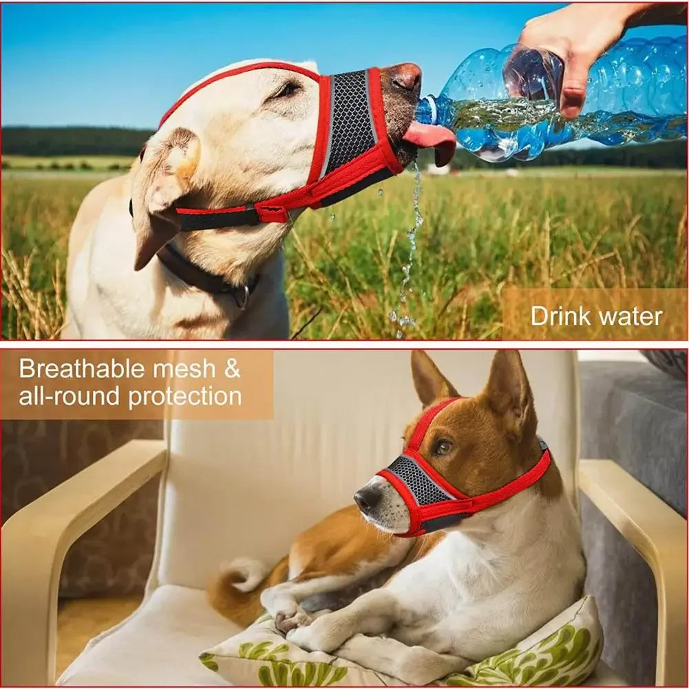 Adjustable Breathing Dog Muzzle - The PetTrail