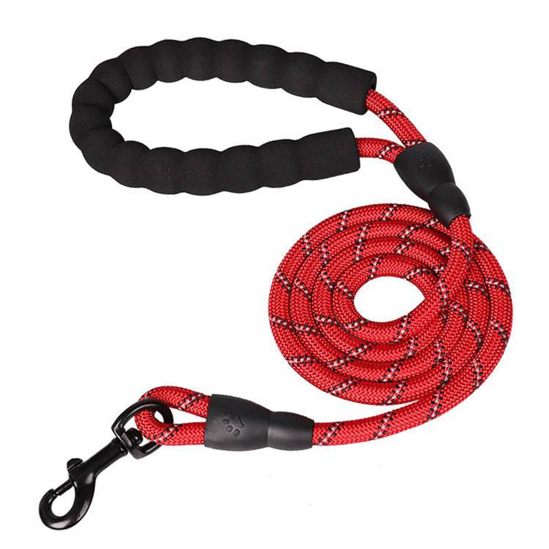 Reflective Nylon Dog Leash - The PetTrail