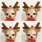 Fruit Print Fleece Dog Hoodie – Warm Winter Pet Sweater - The PetTrail