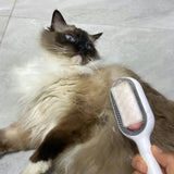Double-Sided Pet Grooming Brush – Hair Removal for Dogs & Cats - The PetTrail