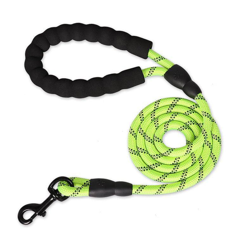 Reflective Nylon Dog Leash - The PetTrail