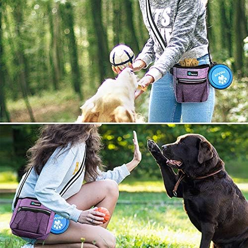 Dog Training Treat Pouch with Water Bowl - The PetTrail