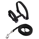 Adjustable Cat Harness & Leash Set - The PetTrail
