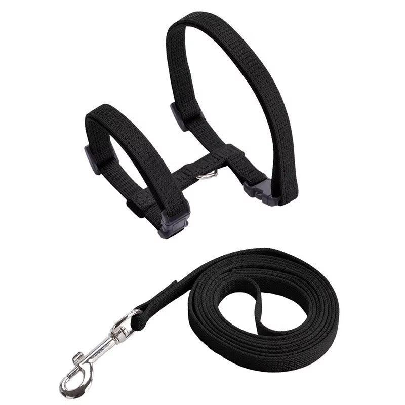 Adjustable Cat Harness & Leash Set - The PetTrail