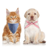 Washable Pet Bandana - The PetTrail