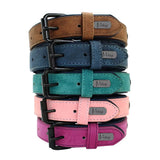 Leather Dog Collar - Soft Padded Adjustable Collar - The PetTrail