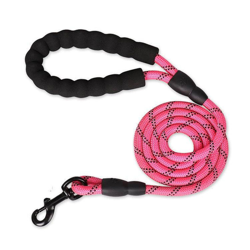 Reflective Nylon Dog Leash - The PetTrail