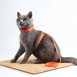 Adjustable Cat Harness & Leash Set - The PetTrail