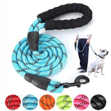 Reflective Nylon Dog Leash - The PetTrail