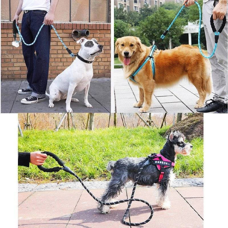 Reflective Nylon Dog Leash - The PetTrail