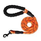 Reflective Nylon Dog Leash - The PetTrail