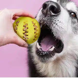 Rubber Dental Chew Ball for Dogs - The PetTrail