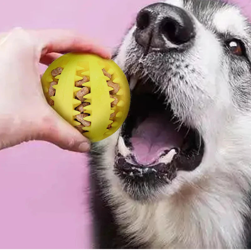 Rubber Dental Chew Ball for Dogs - The PetTrail