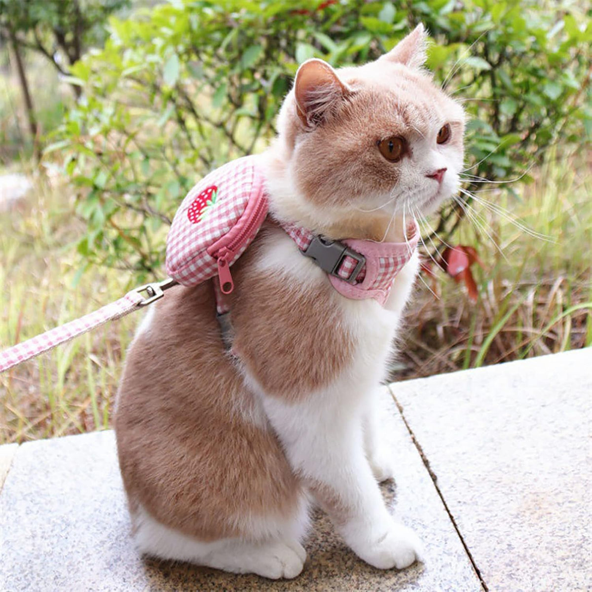 Dog Backpack Harness with Leash & Saddle Bag - The PetTrail