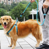 Reflective Nylon Dog Leash - The PetTrail
