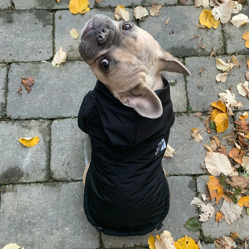 Warm Waterproof Dog Jacket - The PetTrail
