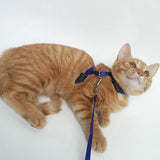 Adjustable Cat Harness & Leash Set - The PetTrail