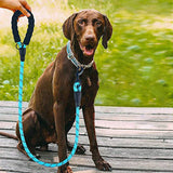 Reflective Nylon Dog Leash - The PetTrail