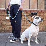 Reflective Nylon Dog Leash - The PetTrail