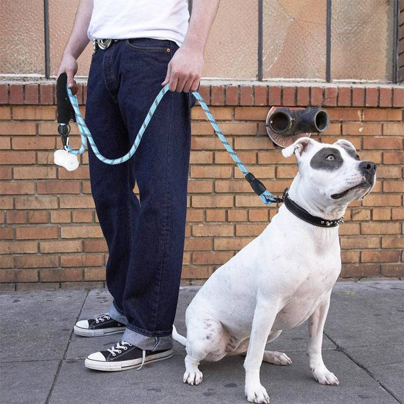 Reflective Nylon Dog Leash - The PetTrail