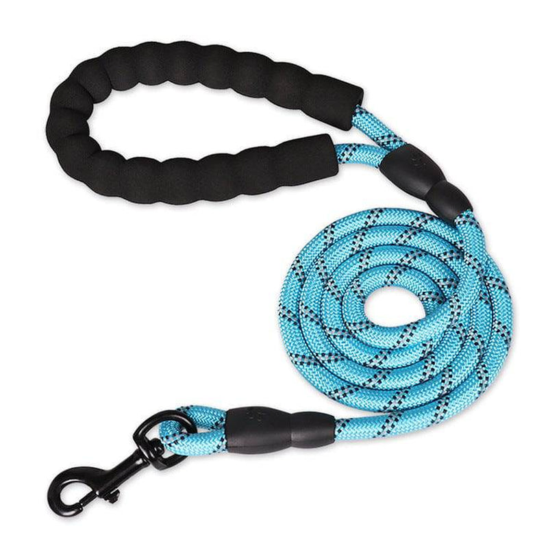 Reflective Nylon Dog Leash - The PetTrail
